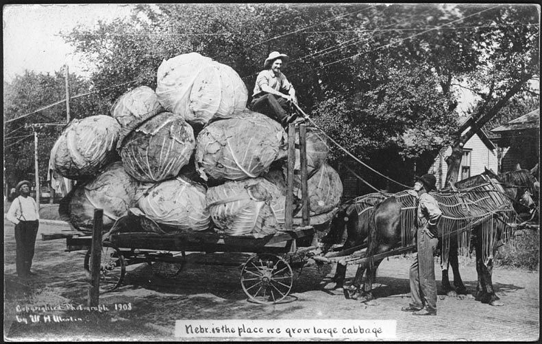Postcards of Yore